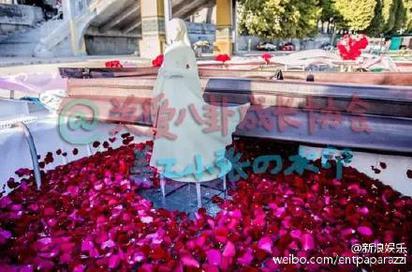 難怪陳妍希點頭嫁他 3D雕像、玫瑰遊艇塞納河 | 求婚遊艇灑滿玫瑰花。