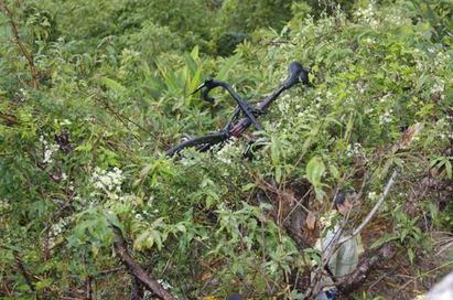 騎士自摔駁崁「我的10萬單車卡樹上!」 | 葛男摔車後，10萬元單車掉到樹上。翻攝畫面。