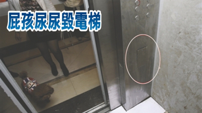屁孩灑童子尿弄壞電梯 住戶氣炸喊肉搜 | 華視新聞