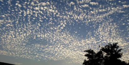 滿天棉花糖再現 | 今天滿天棉花糖的景象再現，但因有其它雲屬，混雜其中，未如9月9日(圖)出現的天空狀態壯觀。