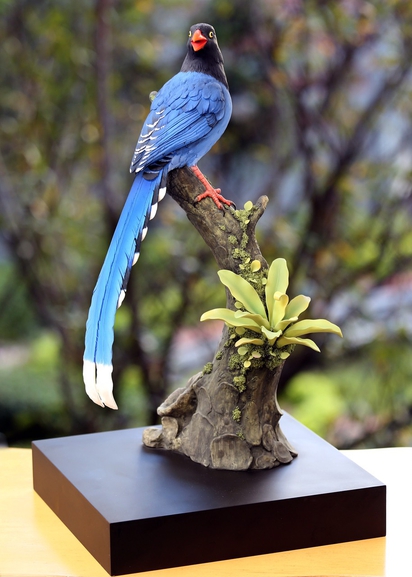 【馬習會】台灣藍鵲瓷器 送習近平當贈禮 | 