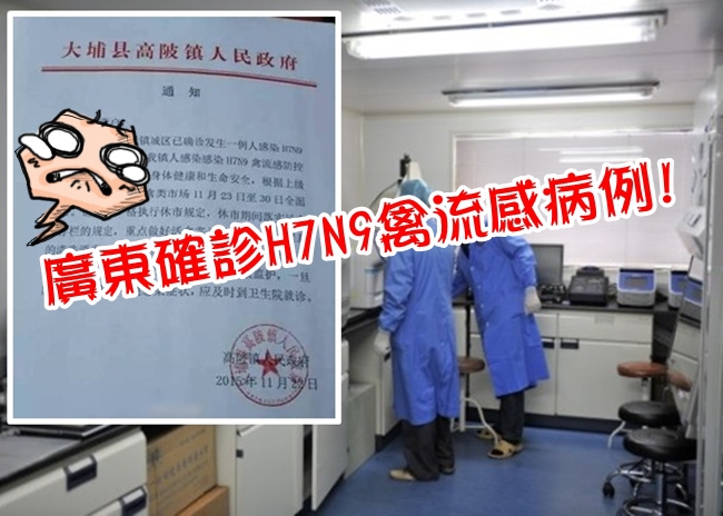 官方證實! 廣東梅州入冬後首宗H7N9病例 | 華視新聞