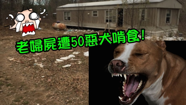 獨居老婦死在家中 屍體遭50餓犬啃食 | 華視新聞