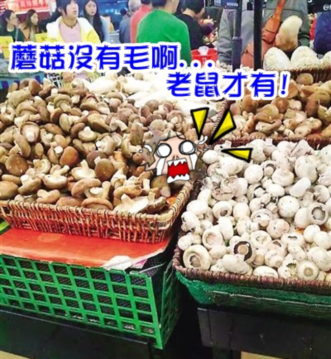 蘑菇長毛? 女超市買菜伸手摸到病鼠! | 華視新聞