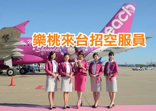 樂桃航空首招海外空服 台灣明年1月面試