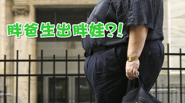 胖爸爸的基因 容易生出胖小孩?! | 華視新聞