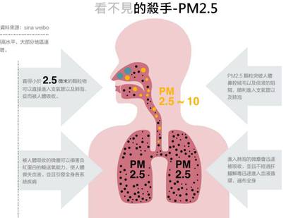 "一般口罩根本沒用" 醫師用10張圖秒懂PM2.5 | PM2.5能直接進到肺泡及支氣管。