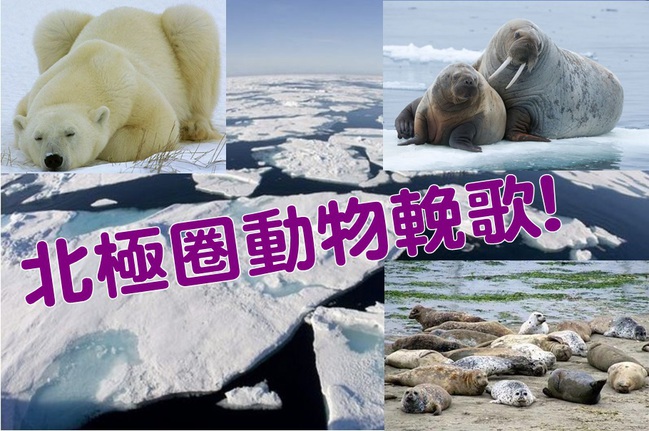 北極圈升溫1.3度 創1900年新高! | 華視新聞