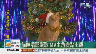 貓咪"頌"耶誕! 新MV更有梗