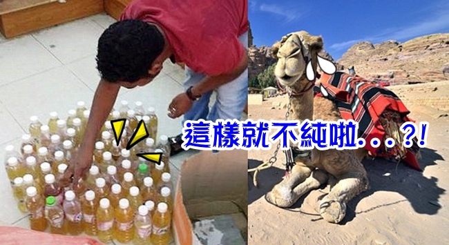 沙國黑心尿商! 人尿混駱駝尿給人喝 | 華視新聞