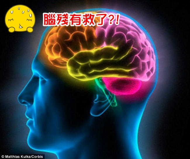 腦殘有得醫?! 科學家發現智力基因群可望增長智力 | 華視新聞