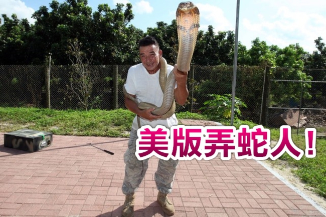 男與60隻毒蛇同居 被咬百次稱「抵抗力變強」 | 華視新聞