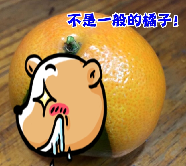 好神奇! 水果攤買回來的橘子 竟然"混血" | 華視新聞