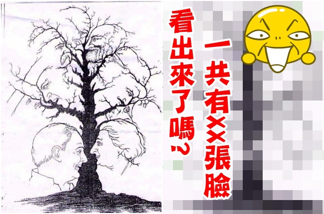 眼力大考驗! 你看得出樹上有幾張臉嗎? | 華視新聞