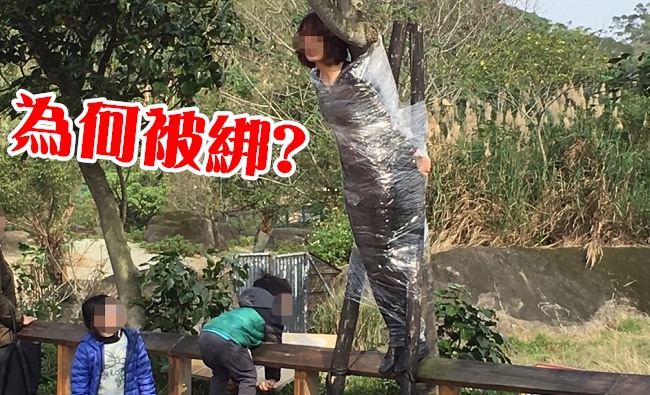是裝置藝術嗎? 女子無故被綁樹上 | 華視新聞