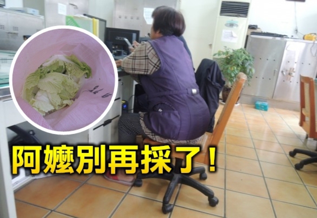 "高麗菜的誘惑" 又有阿嬤凍不著撿菜被移送 | 華視新聞