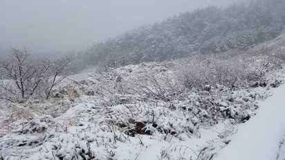 【影片】玉山今年第5場雪 大雪持續降 | 合歡山的銀白世界。