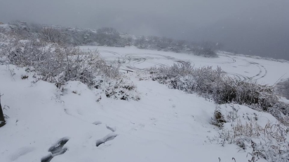 【影片】玉山今年第5場雪 大雪持續降 | 合歡山雪下了一整天。
