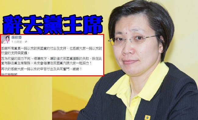 為敗選負責 徐欣瑩請辭民國黨主席職務 | 華視新聞