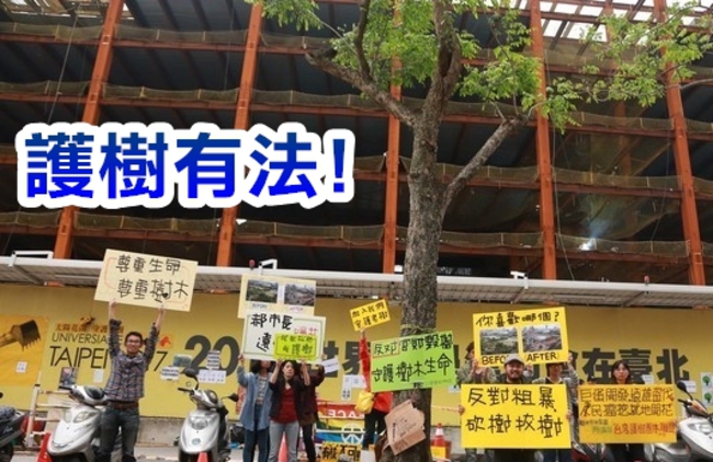 【華視搶先報】林務局修法護樹! 亂砍可罰60萬 | 華視新聞