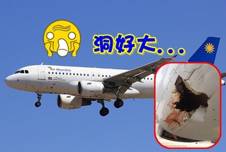 飛機遭大鳥撞到 機身撞出好大一個洞...