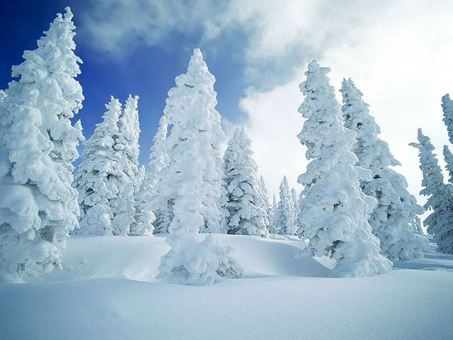 別什麼都叫 雪 霰 霜 冰雹傻傻分不清 華視新聞網