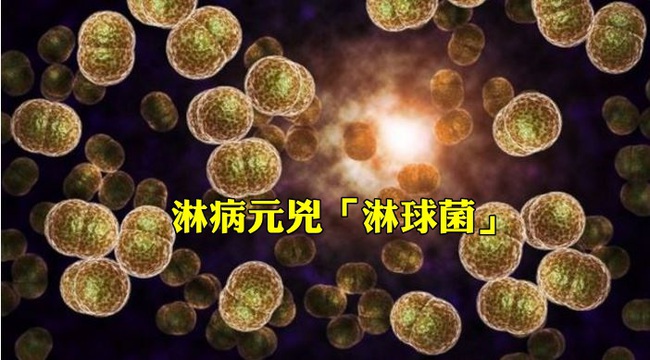 【華視最前線】淋病衝破3千人 病菌抗藥性轉強未來恐無藥 | 華視新聞