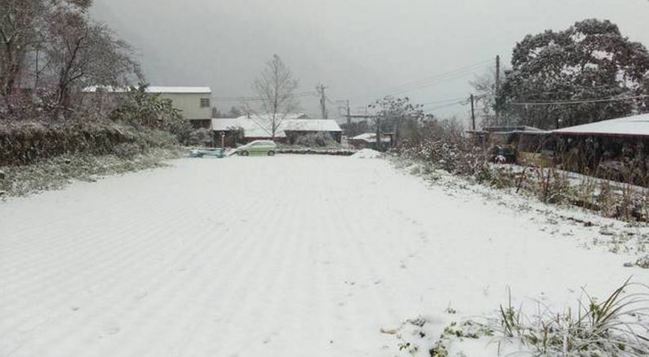 最強寒流! 百年首見 苗栗南庄鹿場下雪了 | 華視新聞