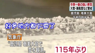 寒流持續發威 日本奄美大島百年來首降雪
