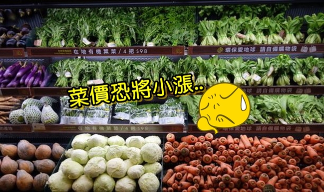 寒流襲台!農損逾1.3億 春節菜價可能小漲 | 華視新聞