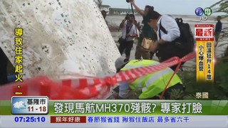 馬航MH370殘骸 泰國海灘尋獲?