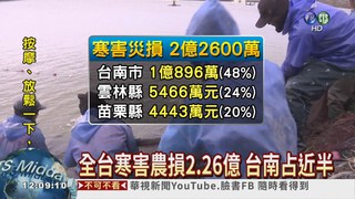 全台寒害農損2.26億 台南最慘!