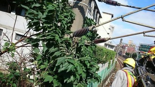 民宅砍樹電纜斷落害延誤2萬人 台鐵:依法求償
