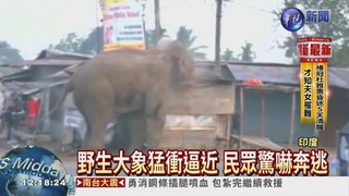 野生大象猛衝村莊 毀近百屋!