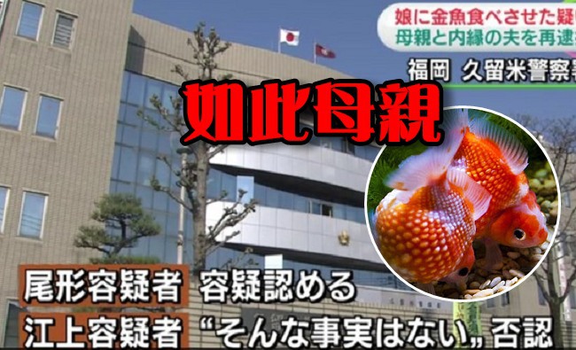 變態! 日狠母對16歲女施虐 逼吃30隻死金魚 | 華視新聞
