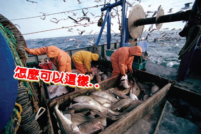 日本鴨霸?! 修約禁我漁民捕魚! | 華視新聞