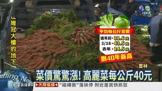 菜價每公斤43.5元 40年新高!