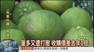檸檬1斤賣14元 農民血本無歸