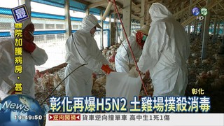 彰化再爆H5N2 土雞場撲殺消毒