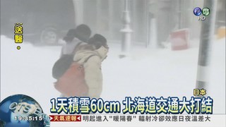暴雪襲北海道 逾百航班取消