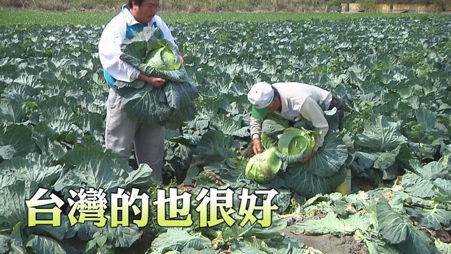 【華視最前線】進口不一定好! 進口蔬菜農藥殘留嚴重 | 華視新聞
