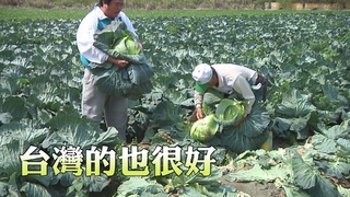 【華視最前線】進口不一定好! 進口蔬菜農藥殘留嚴重