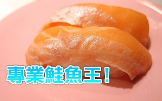 爭鮮是平價壽司美食? 網友專業文受封「鮭魚王」