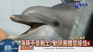 俄訓練海豚當間諜 引國際撻伐