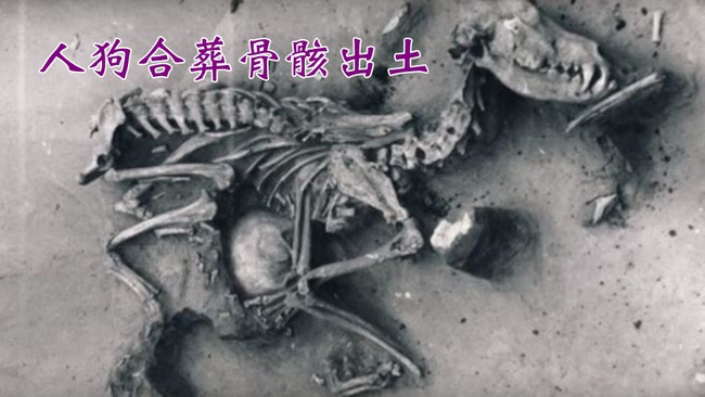 古墓驚見人狗合葬! 8千年前汪星人是好友 | 華視新聞