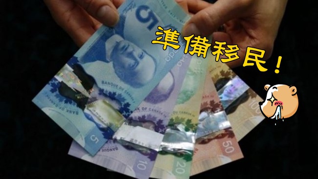羨慕! 加國預計每人每月發30K當"基本收入" | 華視新聞