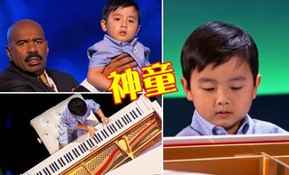 【有影片】他4歲! 彈奏"大黃蜂"完全沒問題