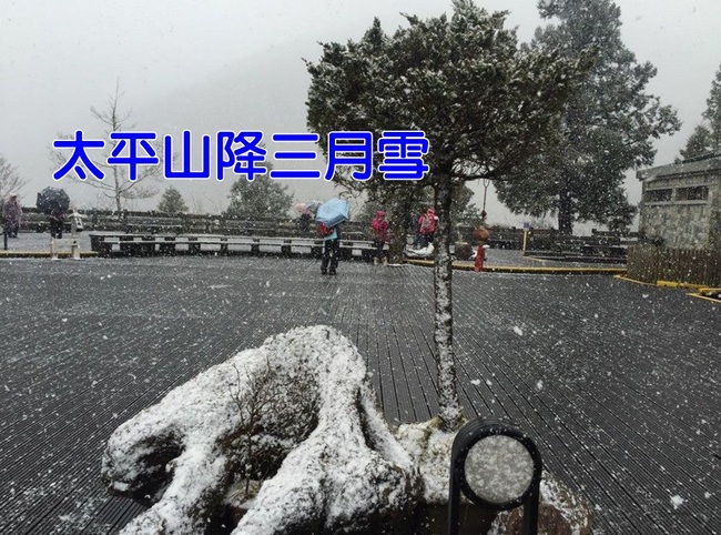寒流發威! 太平山降三月雪 6年來首見 | 華視新聞