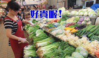 【華視最前線】台北菜價漲至50.7元 清明後可望回穩
