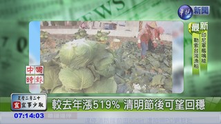 極地氣候 台北菜價漲至50.7元